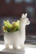 画像3: 【KIKKERLAND】Lloyd The Llama Planter（ロイドザラマプランター） (3)